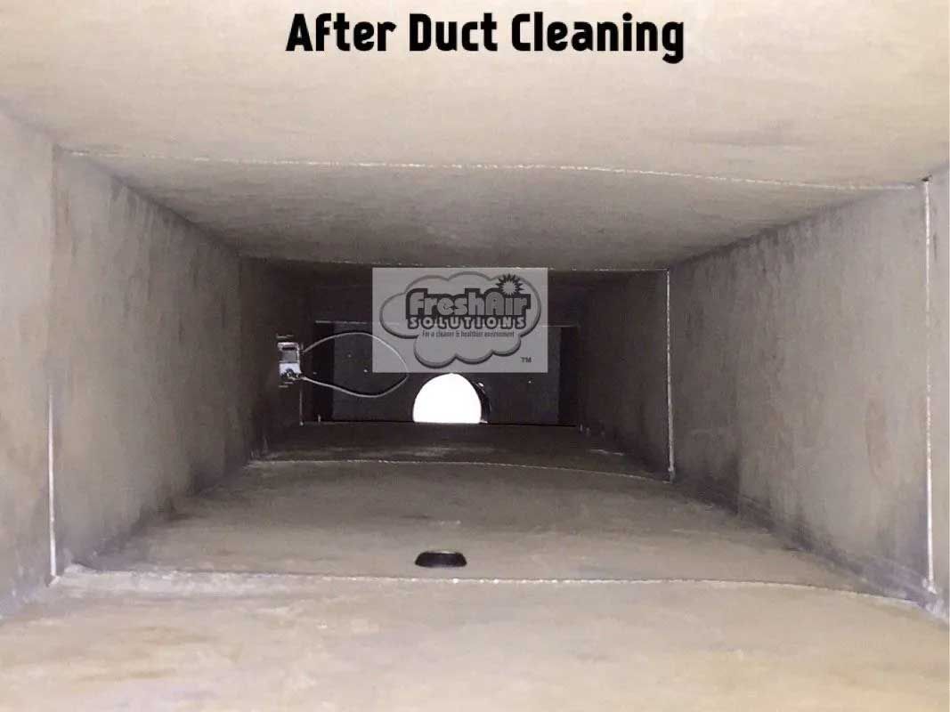 Duct interior before cleaning; filled with debris. Dark, narrow, with a sign in the center.